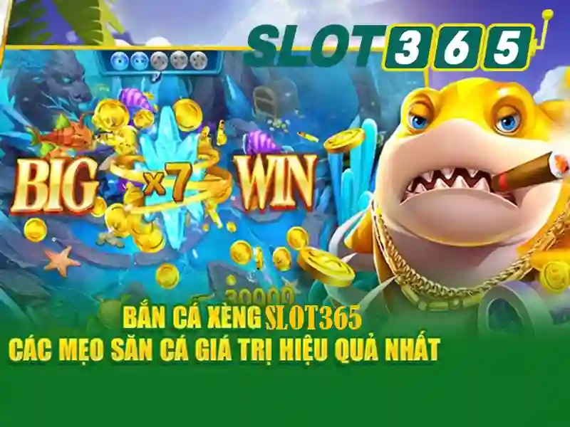 Lời kết