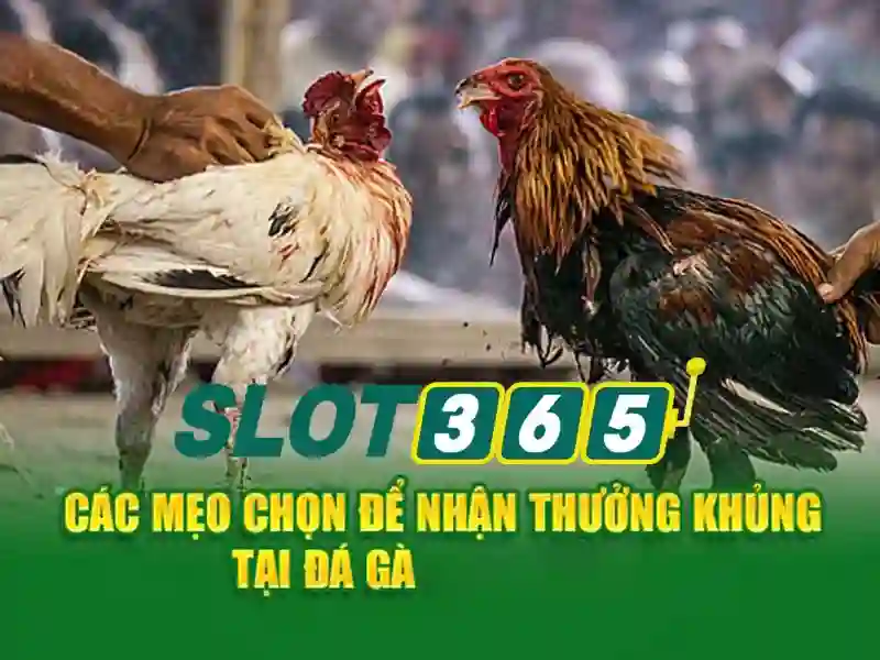Giao diện và trải nghiệm người dùng\n\n