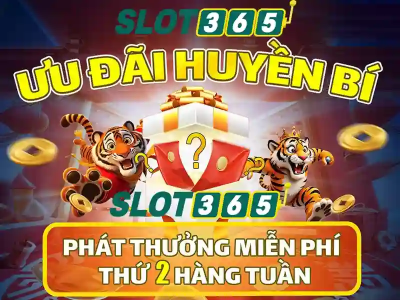 slot365 bet – Tổng quan chủ đề và giá trị cốt lõi
