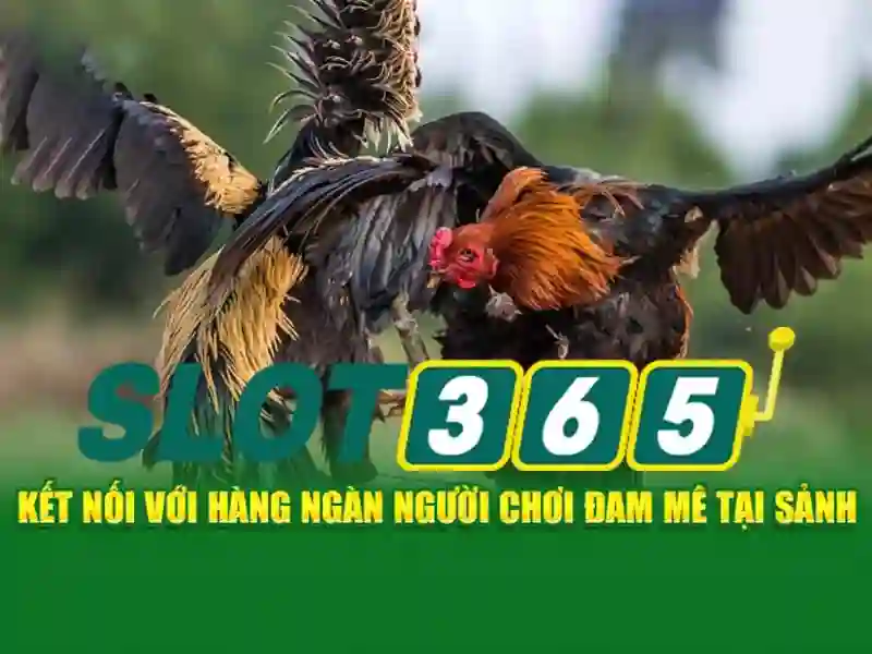 slot365-gioi-thieu\n