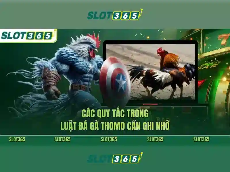 Slot365: Đánh giá nền tảng slot trực tuyến hàng đầu