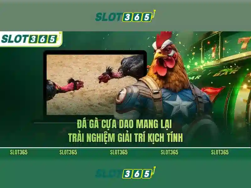 slot365 tang 200k – Tổng quan và cơ hội cùng link dự phòng Slot365 và game bài Slot365