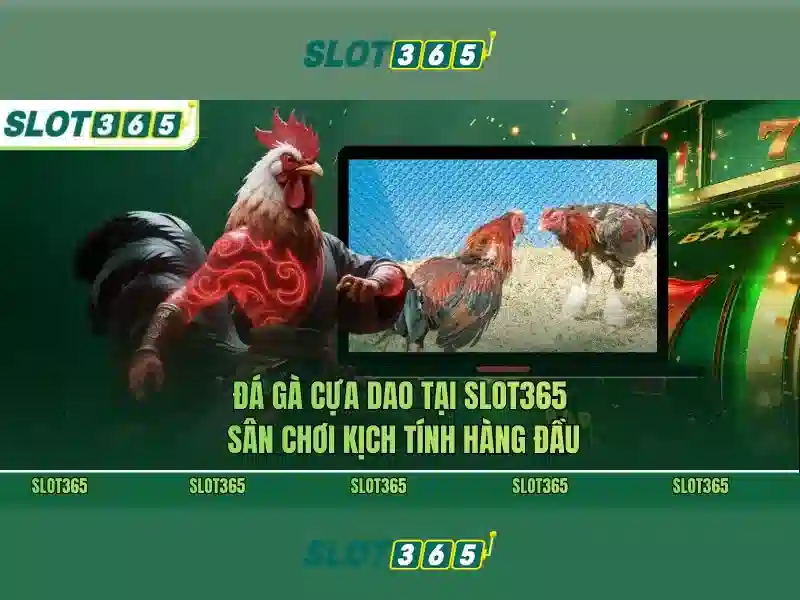 Slot365 – Nền tảng slot trực tuyến uy tín