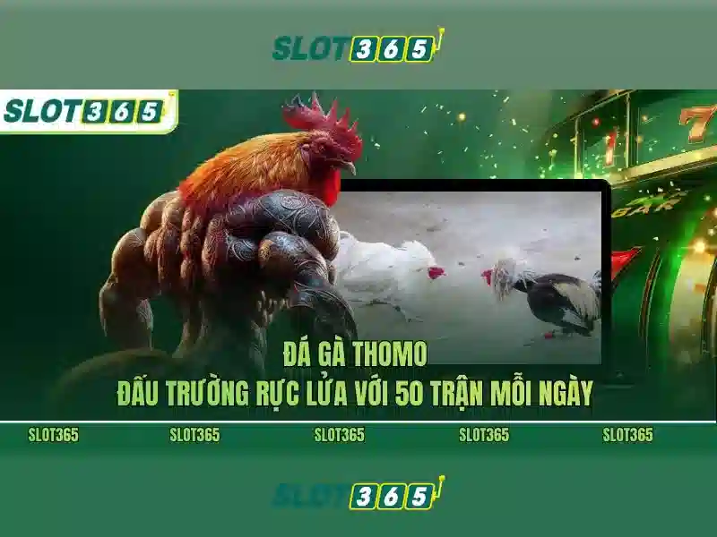 Slot365: Đánh giá tổng quan về nền tảng slot trực tuyến hàng đầu