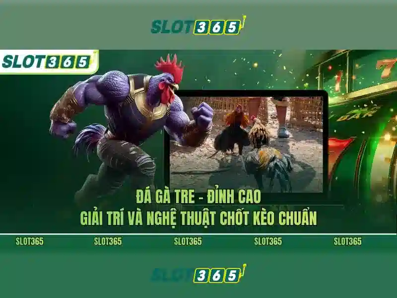 Trải nghiệm người dùng tại Slot365