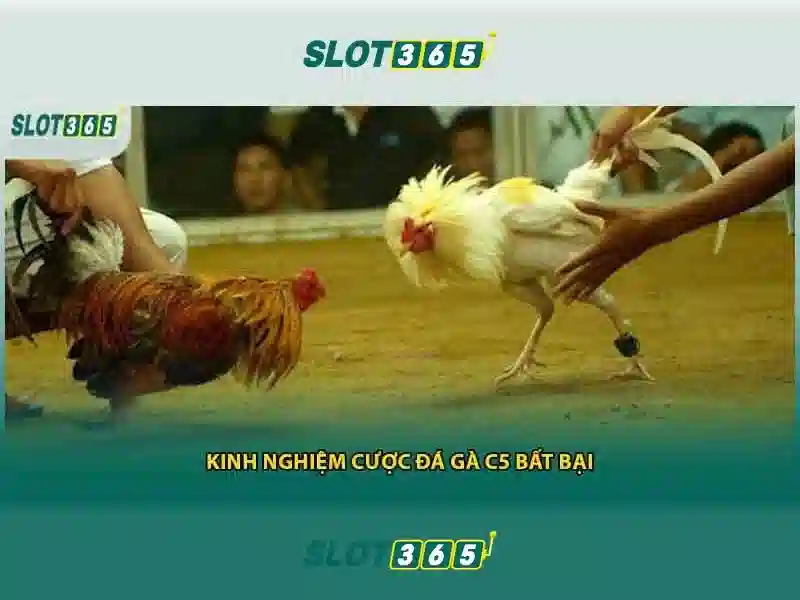 Slot365: Đánh giá và trải nghiệm trò chơi slot trực tuyến