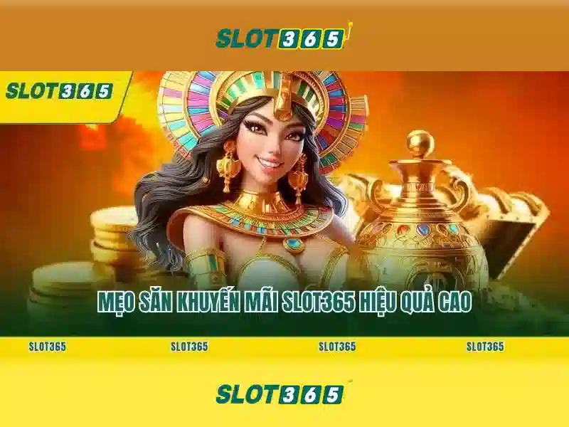 phiên bản mới Slot365 – chủ đề tổng quan và giá trị cốt lõi