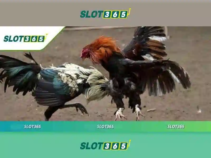 An toàn và thanh toán tại Slot365