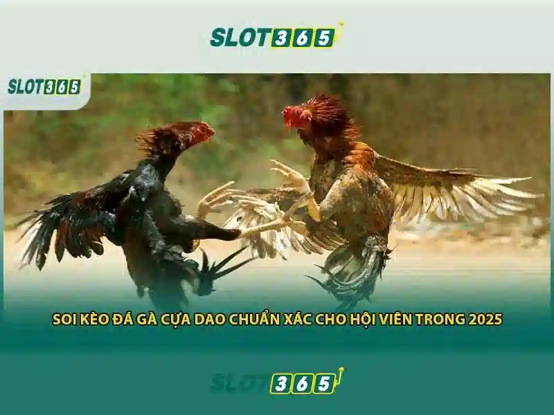 Slot365 – Đánh giá và trải nghiệm Giao diện nhà cái hoàn hảo