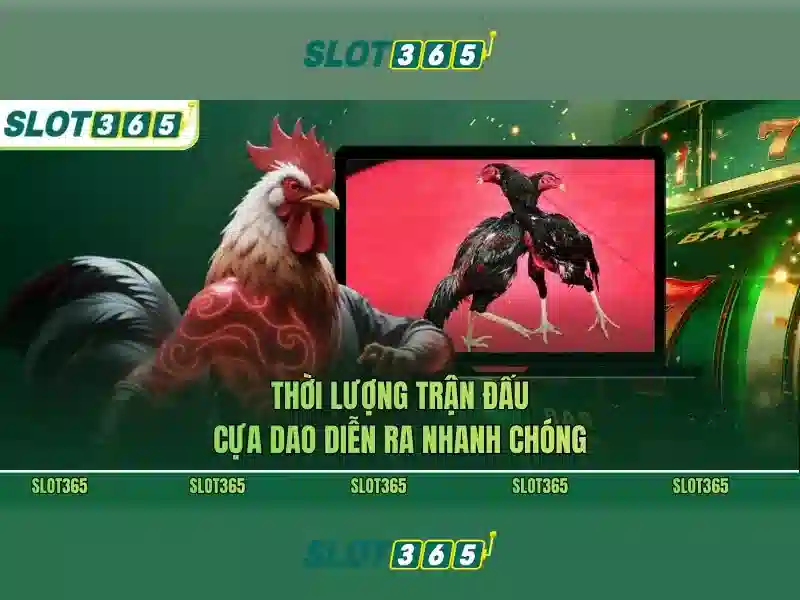 Slot365 - Khám phá nền tảng slot trực tuyến an toàn và thú vị Giao diện nhà cái hoàn hảo