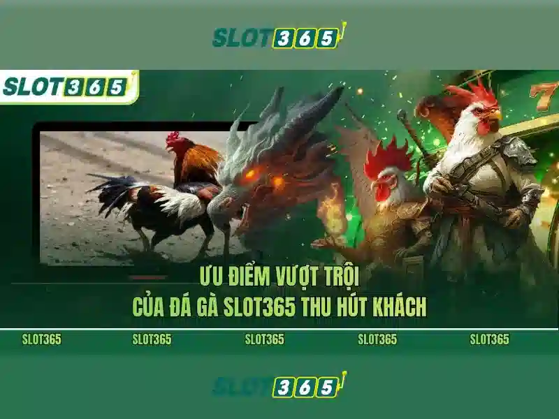 slot365 – Trải nghiệm đỉnh cao và hỗ trợ Slot365 Giao diện nhà cái hoàn hảo