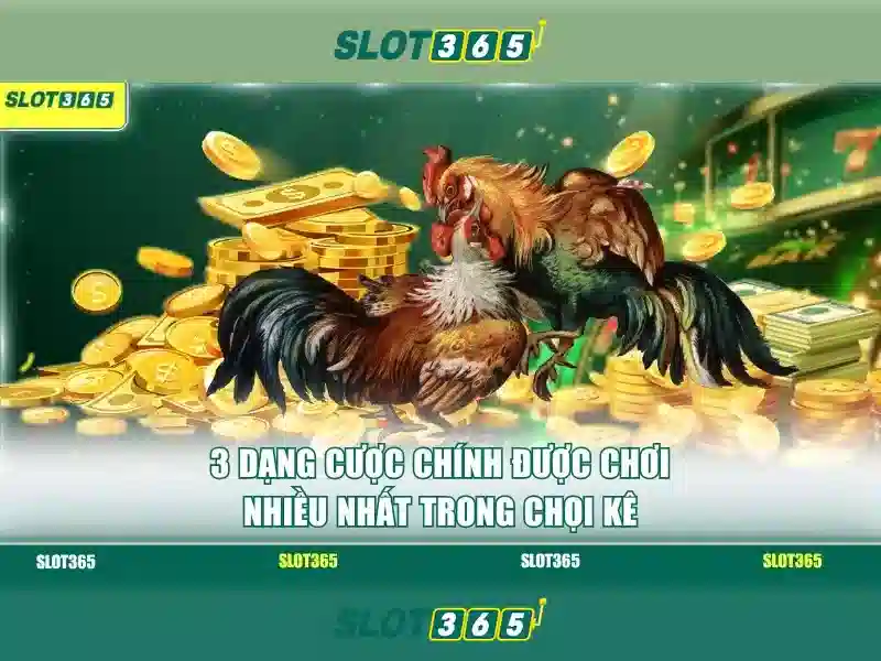 Slot365 - Nền tảng cá cược trực tuyến hàng đầu tại Việt Nam