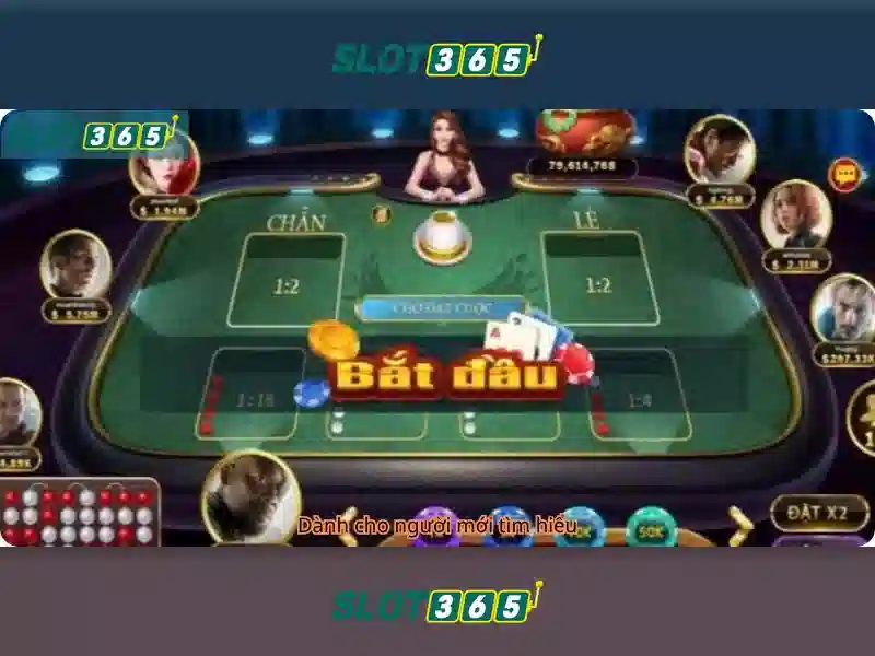 Giới thiệu về Slot365