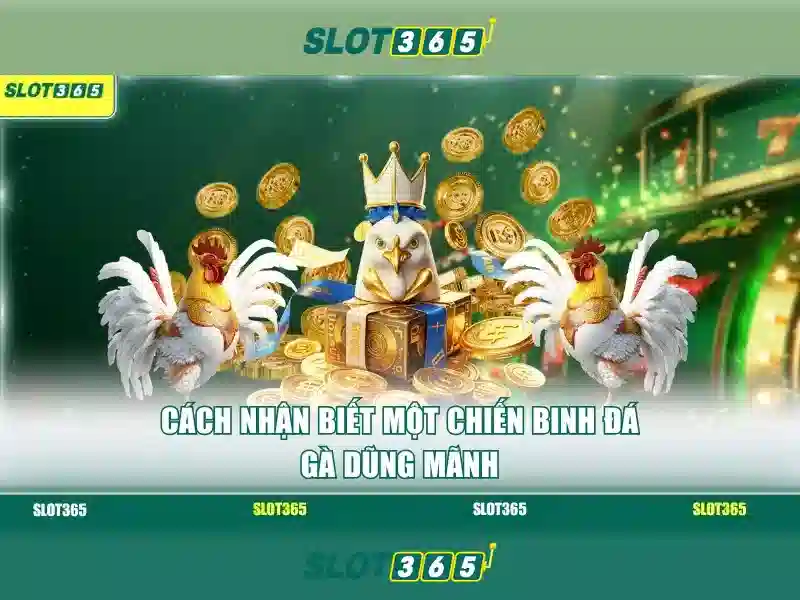 Hỗ trợ khách hàng và cách tham gia
