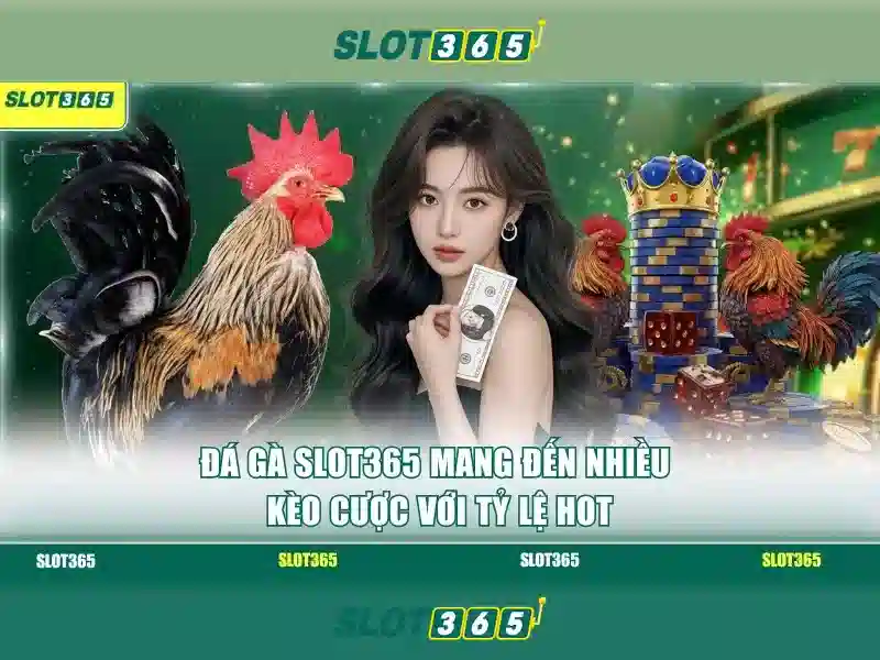 Trải nghiệm người dùng và giao diện