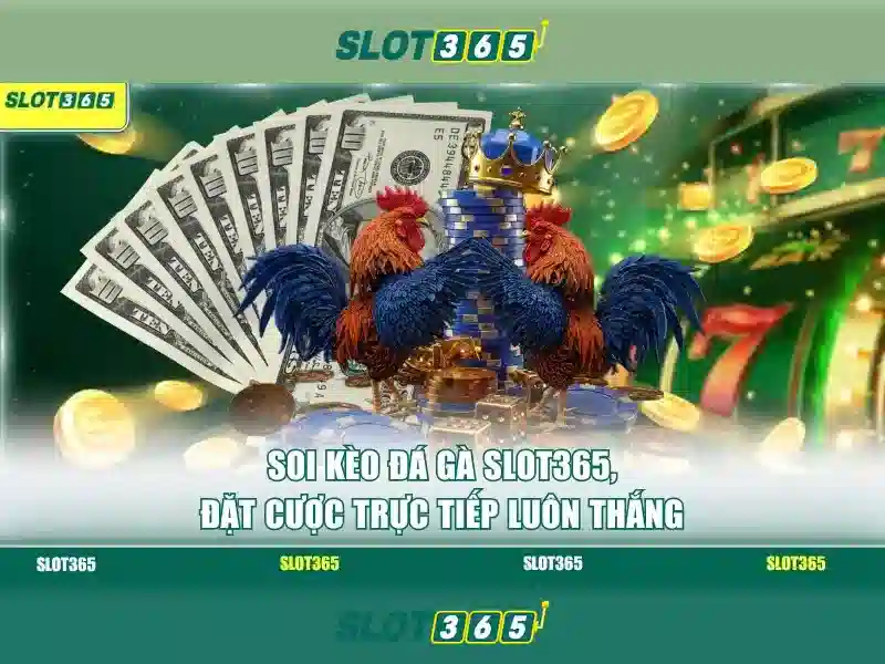 Slot365: Trải nghiệm giải trí slot tối ưu Giao diện nhà cái hoàn hảo