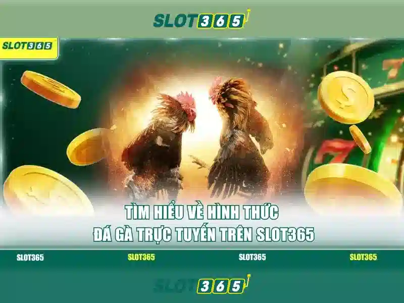 Slot365 – Nền tảng đánh bạc trực tuyến hiện đại