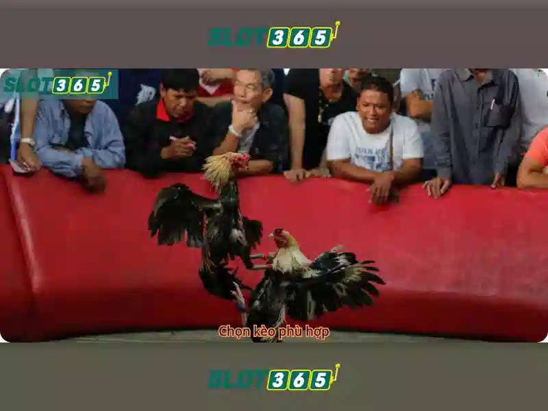 Slot365: Trải nghiệm chơi slot trực tuyến an toàn và tiện lợi Giao diện nhà cái hoàn hảo