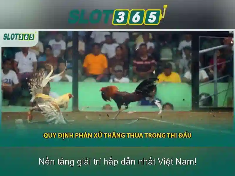 Slot365: Trải nghiệm máy đánh bạc trực tuyến đầy thú vị