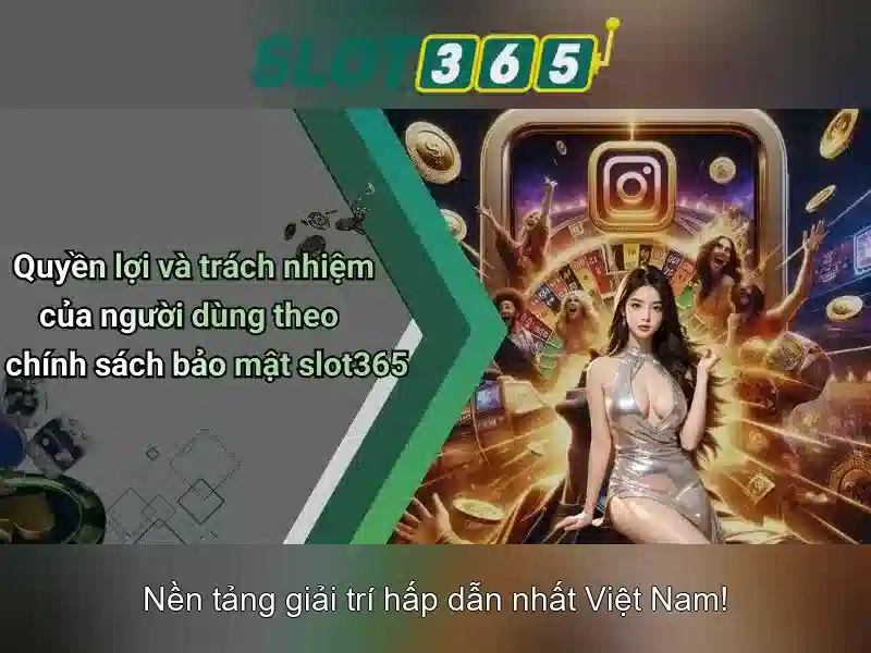 Tổng quan về Slot365
