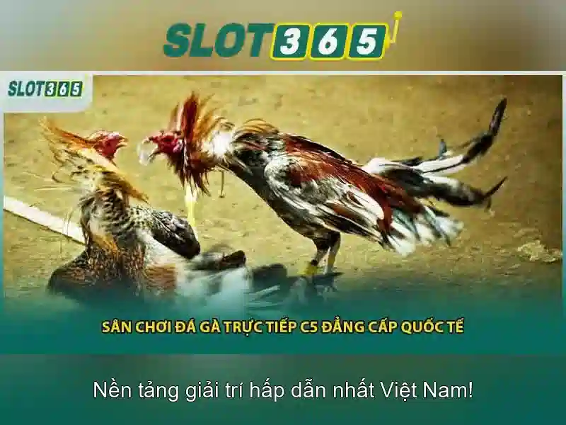 Trò chơi và trải nghiệm người dùng