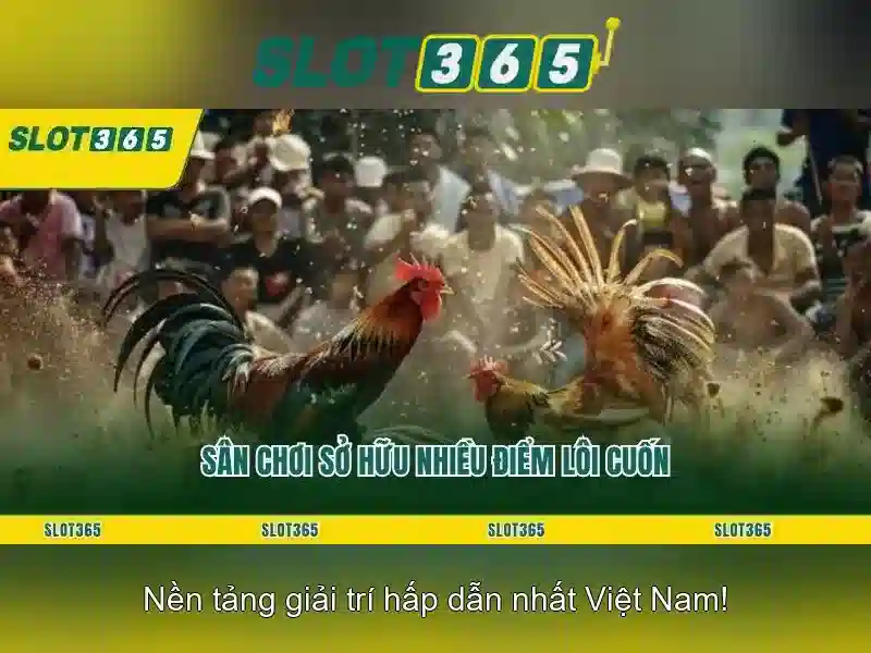 ưu đãi Slot365 – tổng quan và hướng dẫn Slot365 cho trải nghiệm nổ hũ