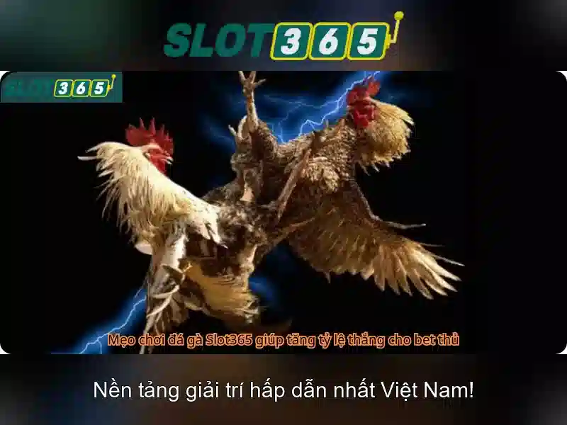 Giao diện người dùng và trải nghiệm trên Slot365