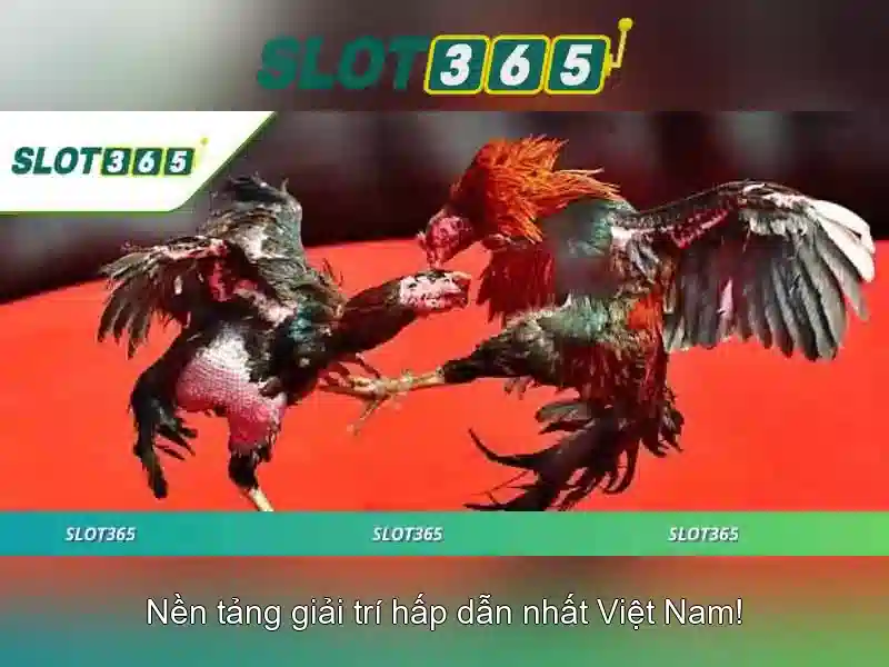 Nguồn gốc và sứ mệnh của đăng nhập Slot365