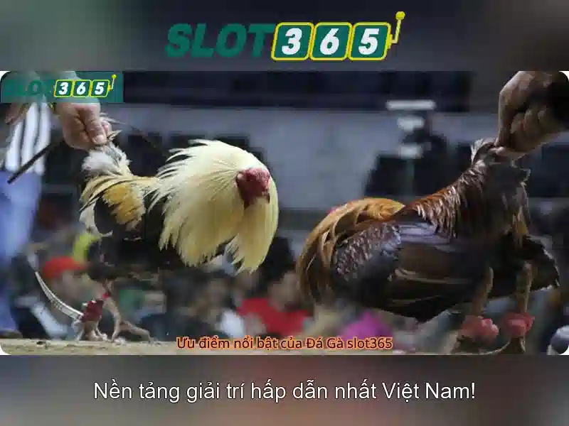 Slot365 - Nền tảng slot trực tuyến đáng tin cậy\n
