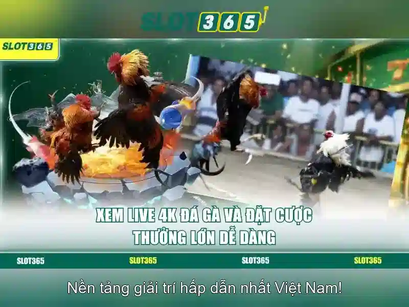 Slot365: Nền tảng chơi slots hàng đầu tại Việt Nam