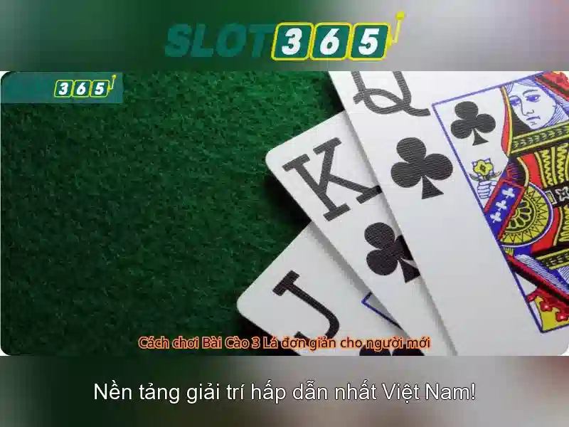 Slot365 - Nền tảng casino trực tuyến