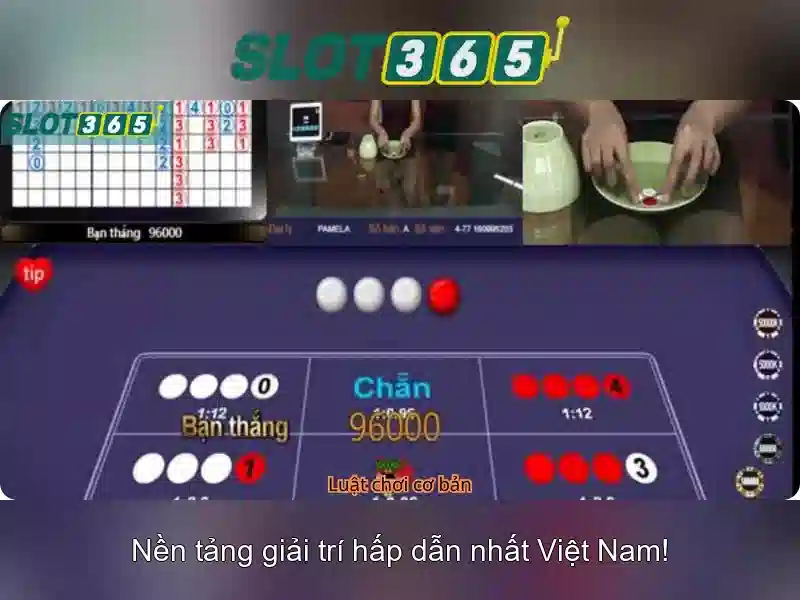 Khuyến mãi và hỗ trợ khách hàng