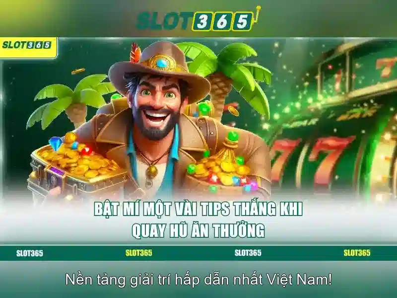 Trải nghiệm người dùng và di động\n\n