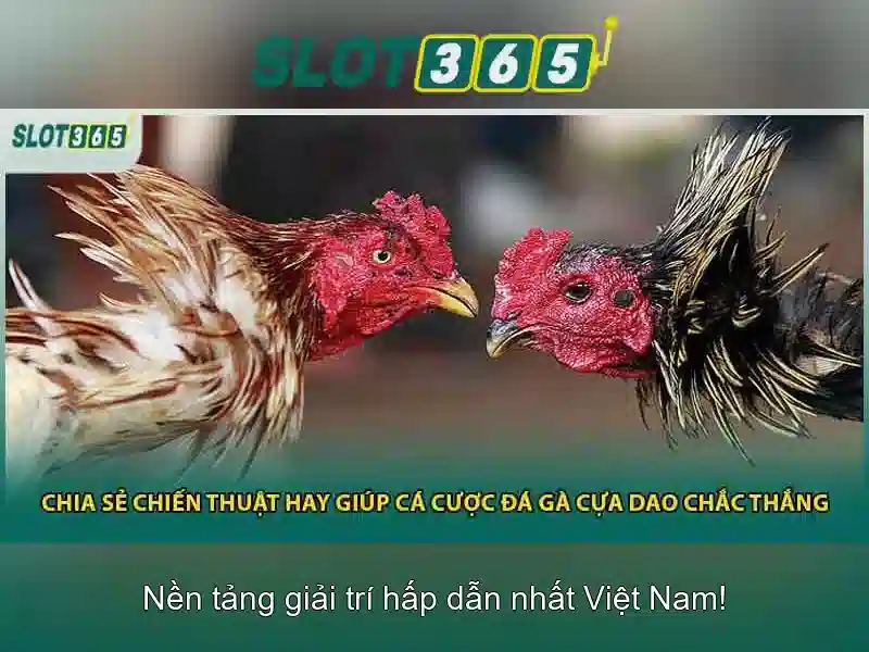 Slot365: Khám phá nền tảng casino trực tuyến hàng đầu