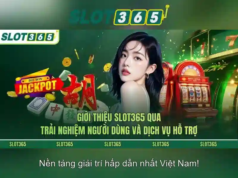 Sản phẩm và dịch vụ chính: ứng dụng slot365 tải