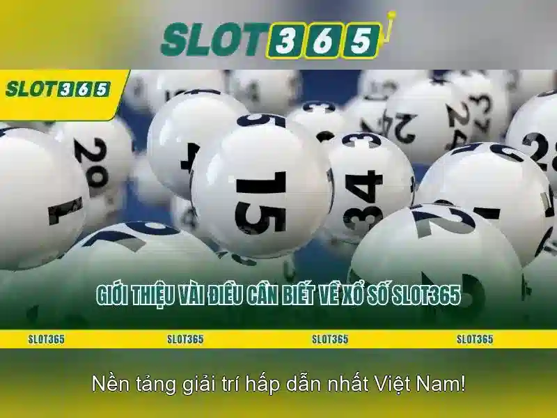 Khuyến mãi và chương trình thưởng