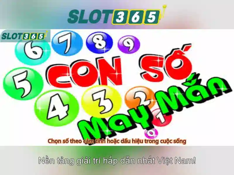 Giao diện nhà cái hoàn hảo