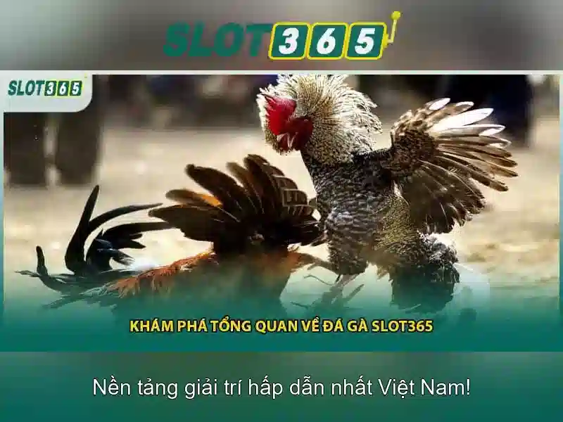 ưu đãi Slot365 – tổng quan chủ đề và giá trị cốt lõi