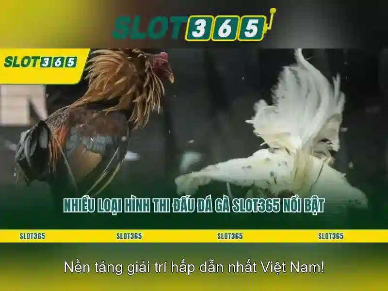 Slot365 - Nền tảng đánh bạc trực tuyến an toàn và đáng tin cậy