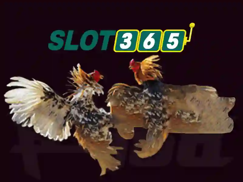 Slot365: Tổng quan và trải nghiệm chơi game trực tuyến