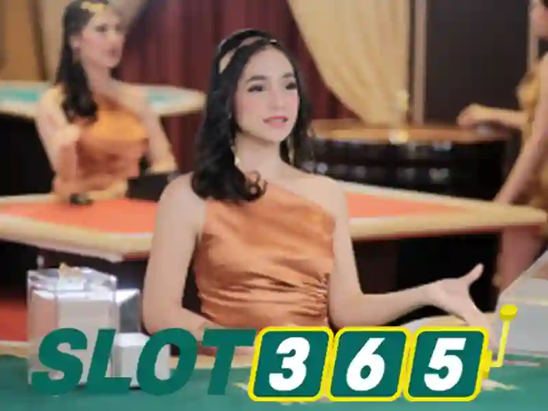 nhà cái Slot365: Định vị thương hiệu và trải nghiệm người chơi