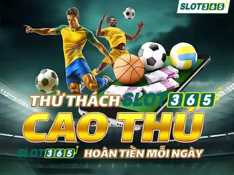 slot365 apk: Tổng quan ứng dụng và trải nghiệm an toàn