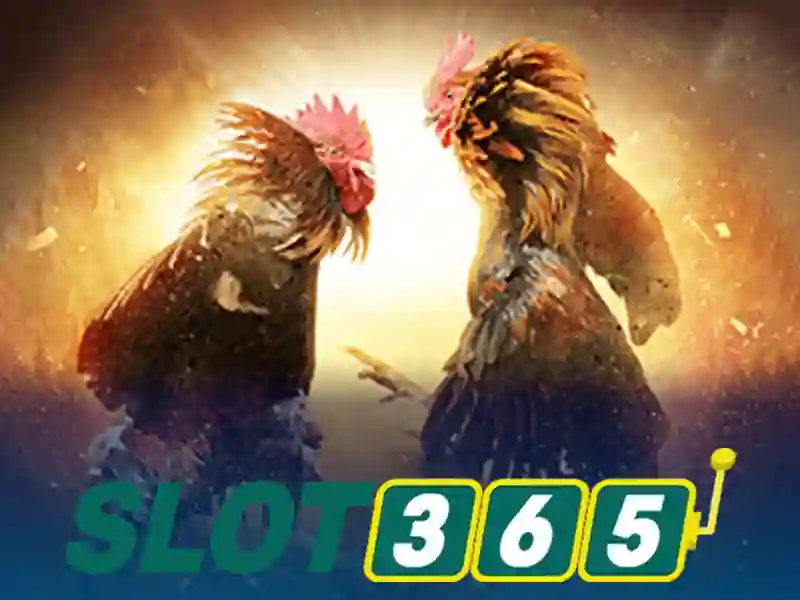 Slot365: Trải nghiệm slot trực tuyến tại Việt Nam